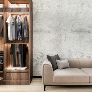 3d rendering minimal loft sofa with wood walk in closet with wardrobe